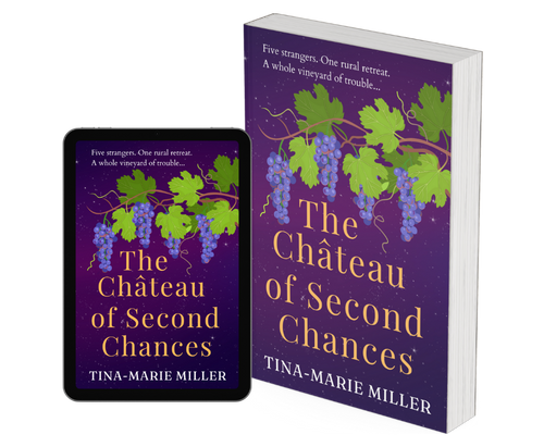 The Château of Second Chances Image 1